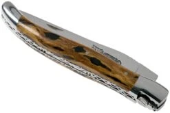 Laguiole En Aubrac 12cm Double Plates, Cactus Poncé Main, L0712CA51-FSI1 -Couteaux Soldes Boutique AUL0712CA51 FSI1 04 laguiole en aubrac v202010