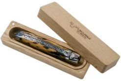 Laguiole En Aubrac 12cm Double Plates, Cactus Poncé Main, L0712CA51-FSI1 -Couteaux Soldes Boutique AUL0712CA51 FSI1 08 laguiole en aubrac v202010