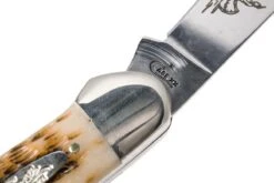 Case Canoe Amber Jigged Bone, 00263, 62131 CV Couteau De Poche -Couteaux Soldes Boutique CE263 07 case ce263 07