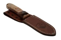 Condor Tactical P.A.S.S. Chute Knife, Couteau Fixe -Couteaux Soldes Boutique CTK1827 105 4C 06 condor