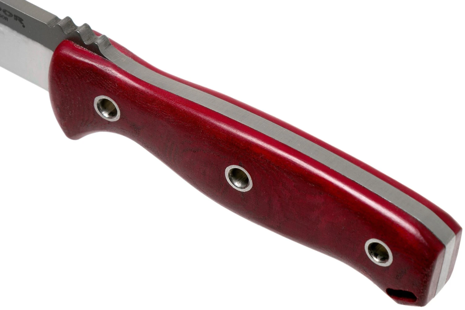 Condor Bushcraft Bliss Knife 2832-4.7HC Couteau De Bushcraft 62736, Tony Lennartz Design 7 Condor Bushcraft Bliss Knife 2832-4.7HC Couteau De Bushcraft 62736, Tony Lennartz Design – Image 5