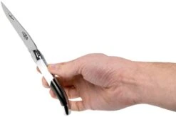 Forge De Laguiole Airbus A350 1211 INAIRBUS Couteau Laguiole -Couteaux Soldes Boutique LA1211INAIRBUS 07 forge de laguiole