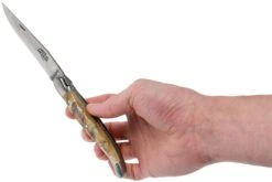 Forge De Laguiole 12 Cm 1212INBESAT Corne De Bélier, Couteau Laguiole -Couteaux Soldes Boutique LA1212INBESAT 08 forge de laguiole