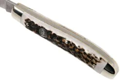 Robert Klaas US Trapper 95mm Real Stag 412-1-251-TRS Couteau De Poche -Couteaux Soldes Boutique RS412 1 251 TRS 06 robert klaas rs412 1 251 trs 06