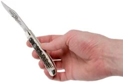 Robert Klaas US Trapper 95mm Real Stag 412-1-251-TRS Couteau De Poche -Couteaux Soldes Boutique RS412 1 251 TRS 07 robert klaas rs412 1 251 trs 07