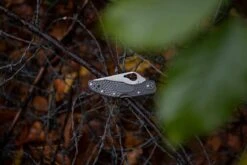 Spyderco Byrd Meadowlark 2 Gris BY04PGY2 Couteau De Poche 19 Spyderco Byrd Meadowlark 2 Gris BY04PGY2 Couteau De Poche -Couteaux Soldes Boutique SPBY04PGY2 20 sfeerfoto